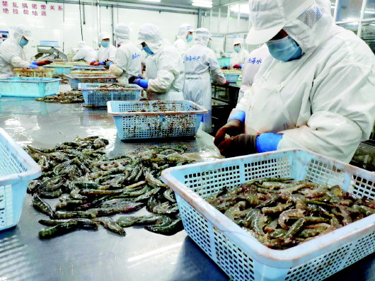 “硬核”政策助企復工復產，激活水產行業新活力